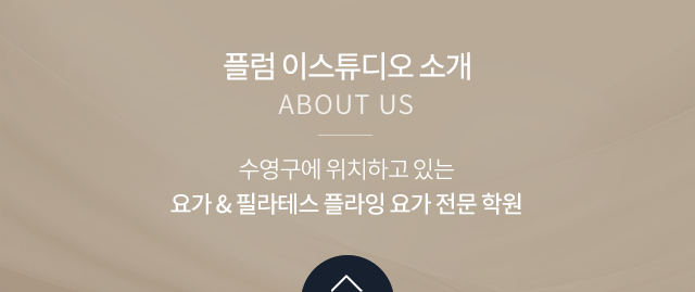 플럼 이스튜디오  소개
