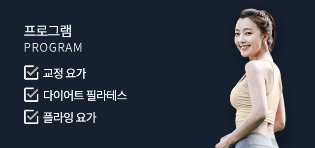 플럼 이스튜디오  프로그램